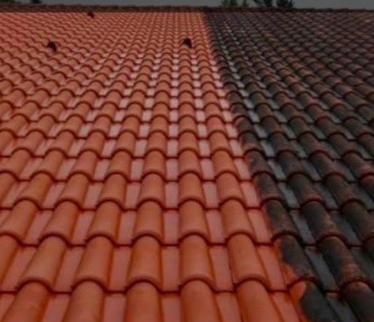 nettoyage extérieure 3